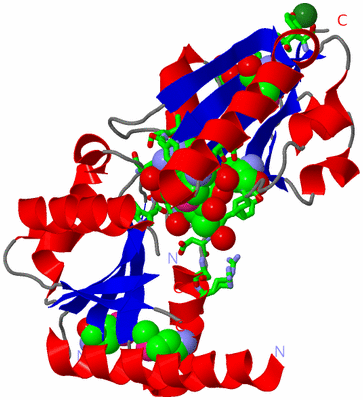 Image Asym. Unit - sites