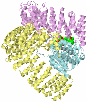 Image Biological Unit 1