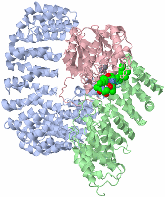 Image Biological Unit 2