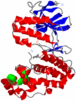 Image Asym./Biol. Unit