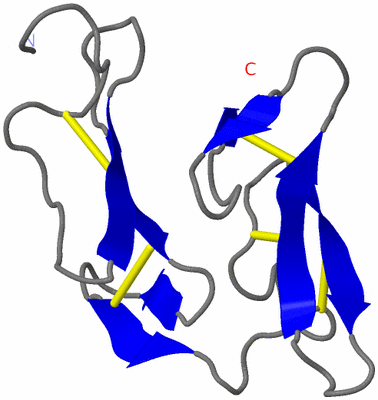 Image NMR Structure - model 1