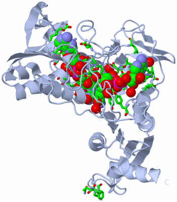 Image Biol. Unit 1 - sites