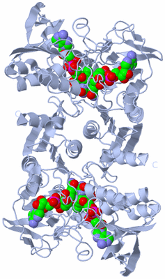 Image Biological Unit 2