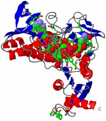 Image Asym. Unit - sites