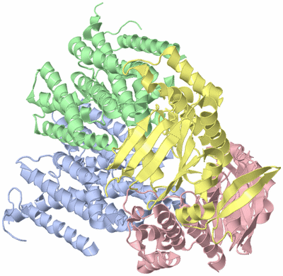 Image Asym./Biol. Unit