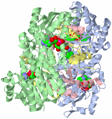 Image Biological Unit 1