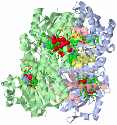 Image Biol. Unit 1 - sites