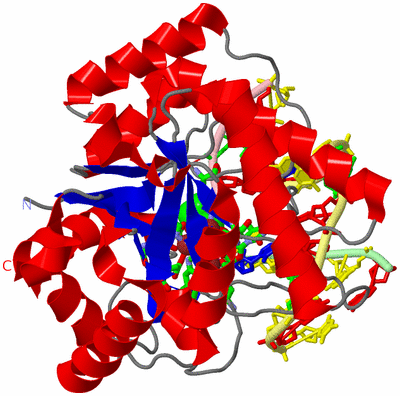 Image Asym./Biol. Unit - sites