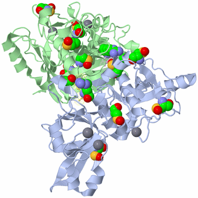 Image Asym./Biol. Unit