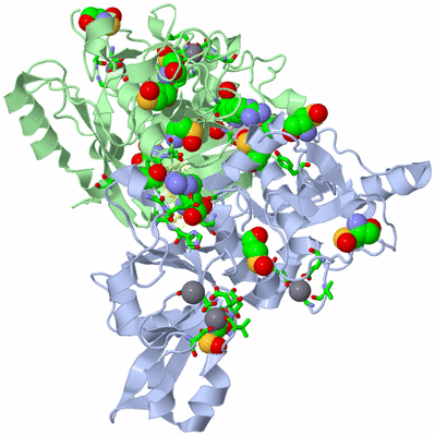 Image Asym./Biol. Unit - sites