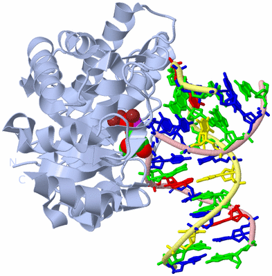 Image Biological Unit 1