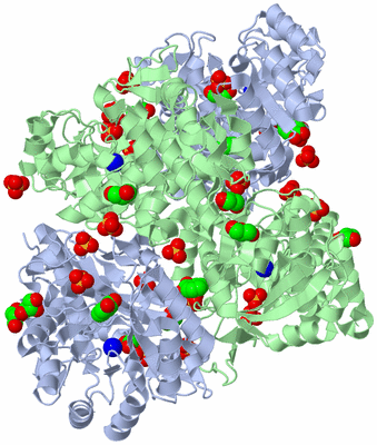 Image Biological Unit 2