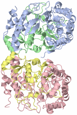 Image Biological Unit 1