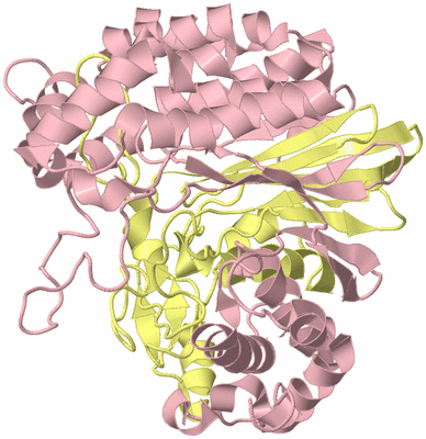 Image Biological Unit 2