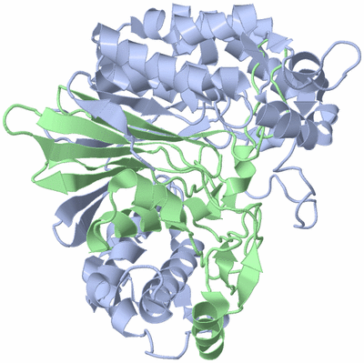 Image Biological Unit 3