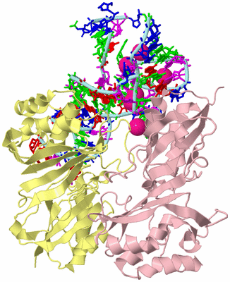 Image Biological Unit 1