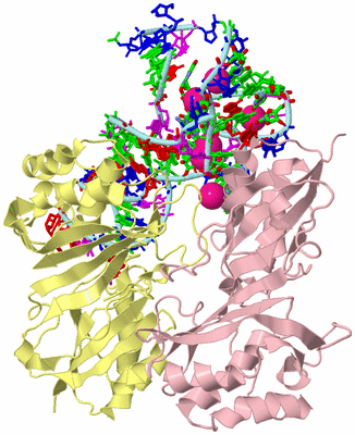 Image Biol. Unit 1 - sites