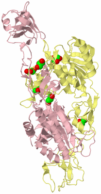 Image Biological Unit 2