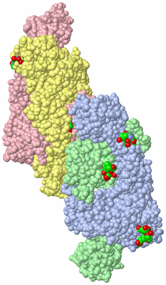 Image Asym. Unit - sites