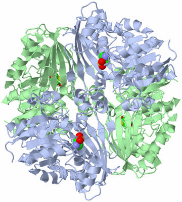 Image Biological Unit 2