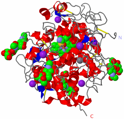 Image Asym./Biol. Unit