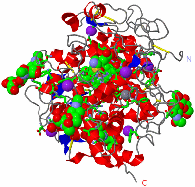 Image Asym./Biol. Unit - sites