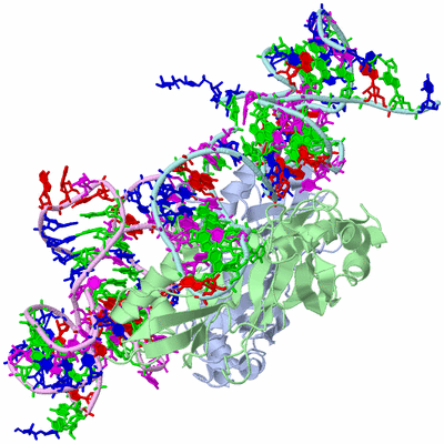 Image Biological Unit 1