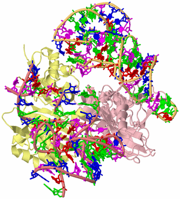 Image Biological Unit 2