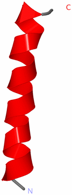 Image NMR Structure - model 1