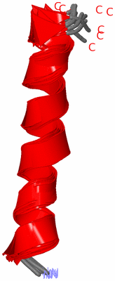 Image NMR Structure - all models