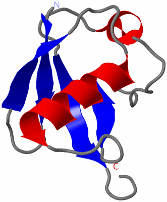 Image NMR Structure - model 1