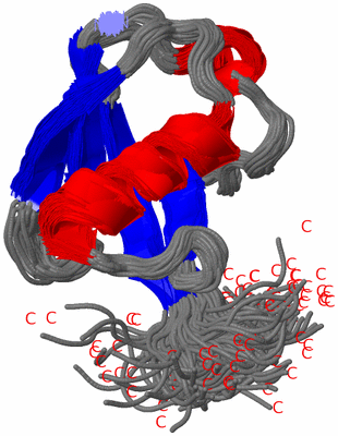 Image NMR Structure - all models