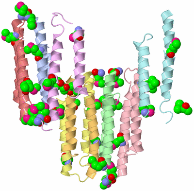 Image Biological Unit 1