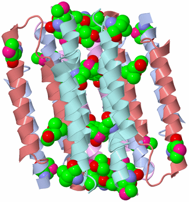 Image Biological Unit 2