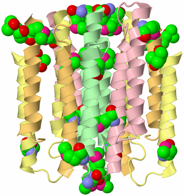 Image Biological Unit 3