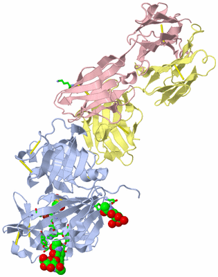 Image Biol. Unit 1 - sites