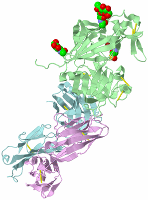 Image Biological Unit 2