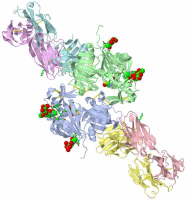 Image Asym. Unit - sites