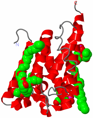 Image Asymmetric Unit