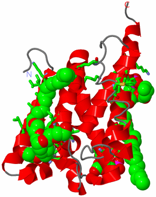 Image Asym. Unit - sites
