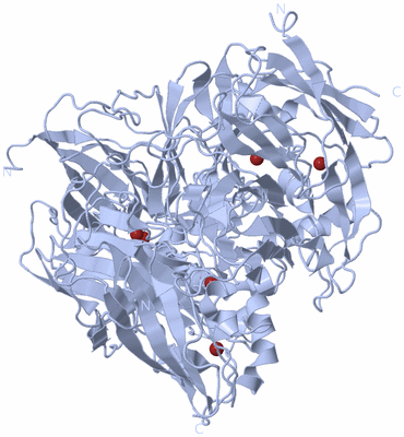 Image Biological Unit 1