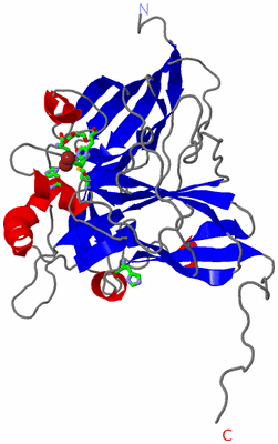 Image Asym. Unit - sites