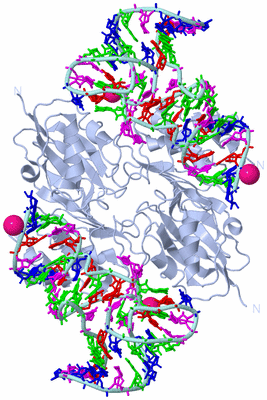 Image Biological Unit 1