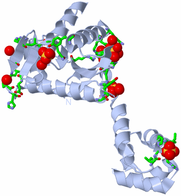 Image Biol. Unit 1 - sites