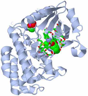 Image Biol. Unit 1 - sites