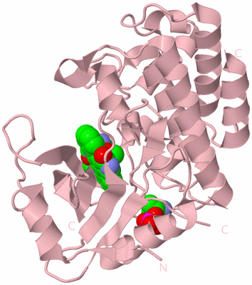 Image Biological Unit 3