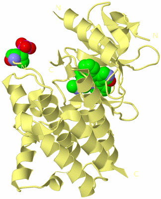 Image Biological Unit 4