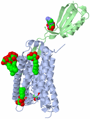 Image Asymmetric Unit