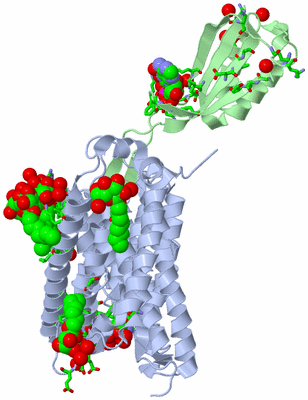 Image Asym. Unit - sites