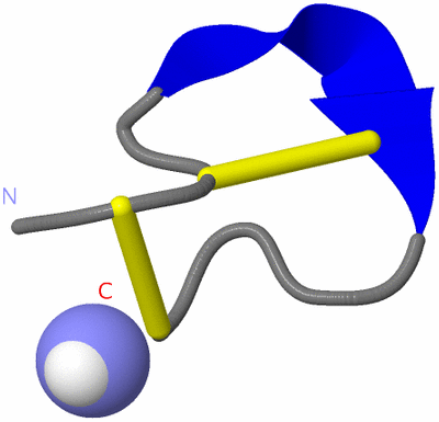 Image NMR Structure - model 1